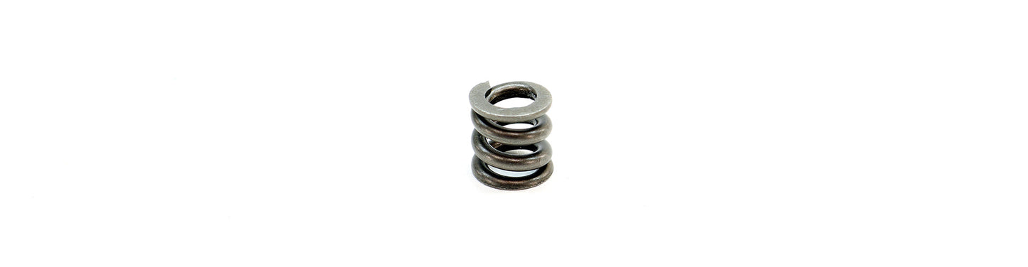 Micro Reg, UGS and CGS Spring