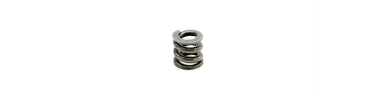Micro Reg, UGS and CGS Spring